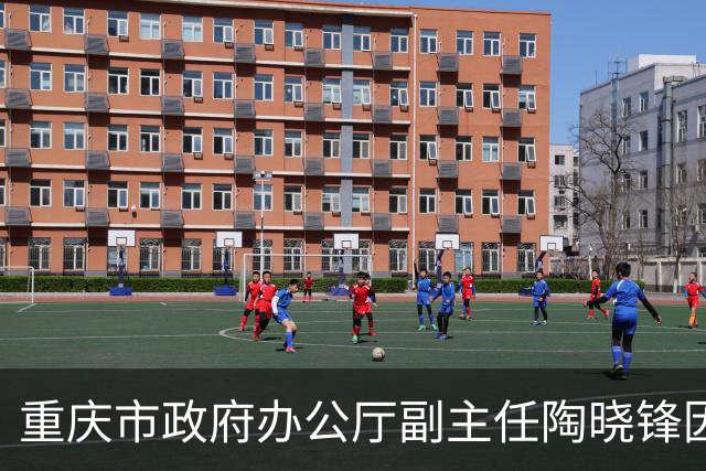 重庆市政府办公厅副主任陶晓锋因严重违规被查处